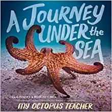 Cover of A Journey Under the Sea