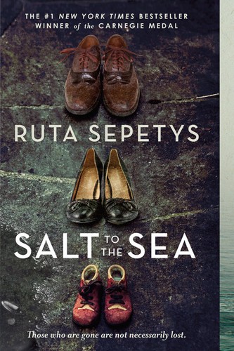 Cover of Salt to the Sea
