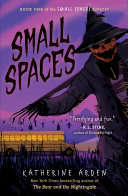 Cover of Small Spaces