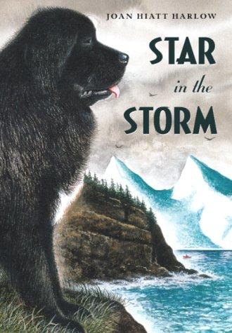 Cover of Star in the Storm